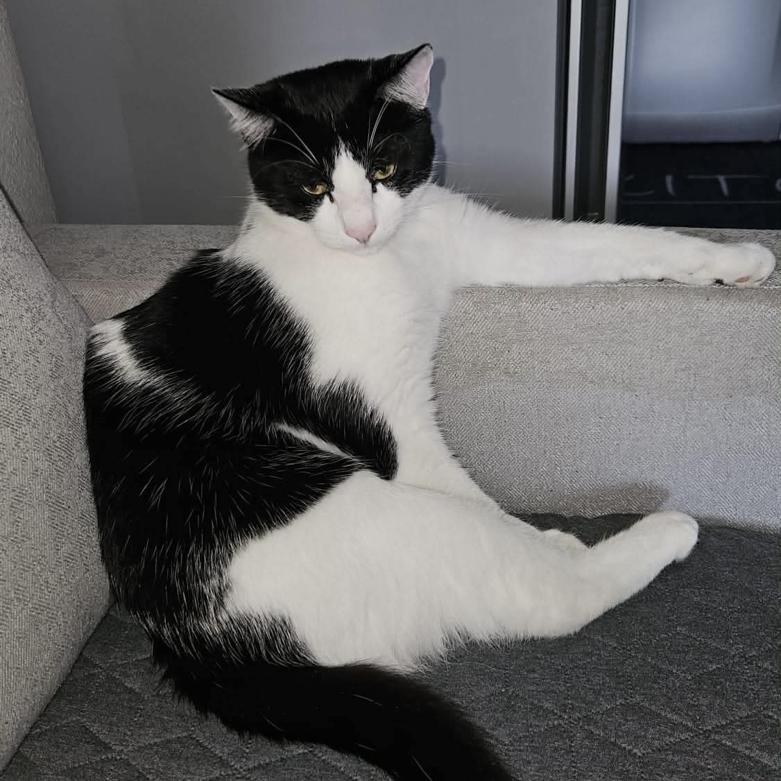 Loki
