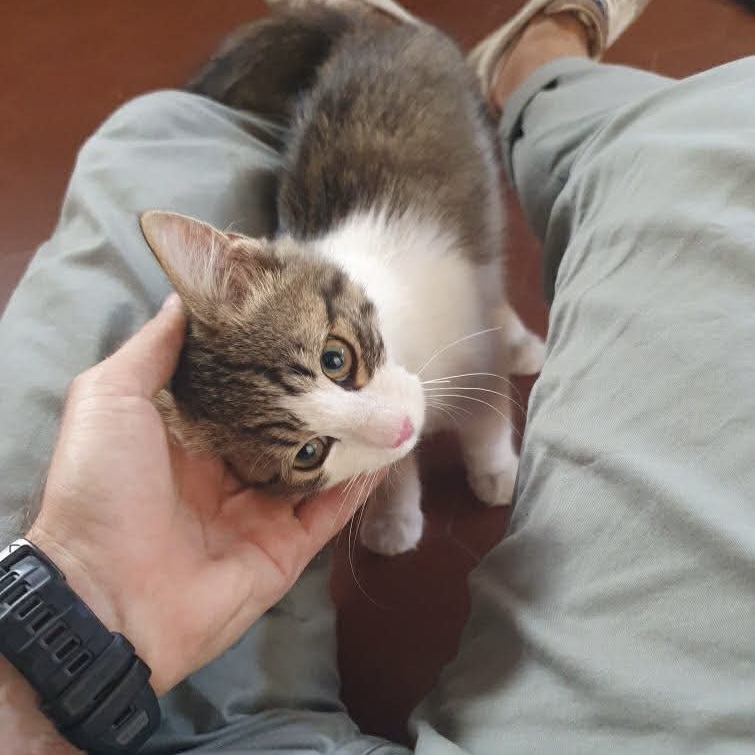 Bilbo